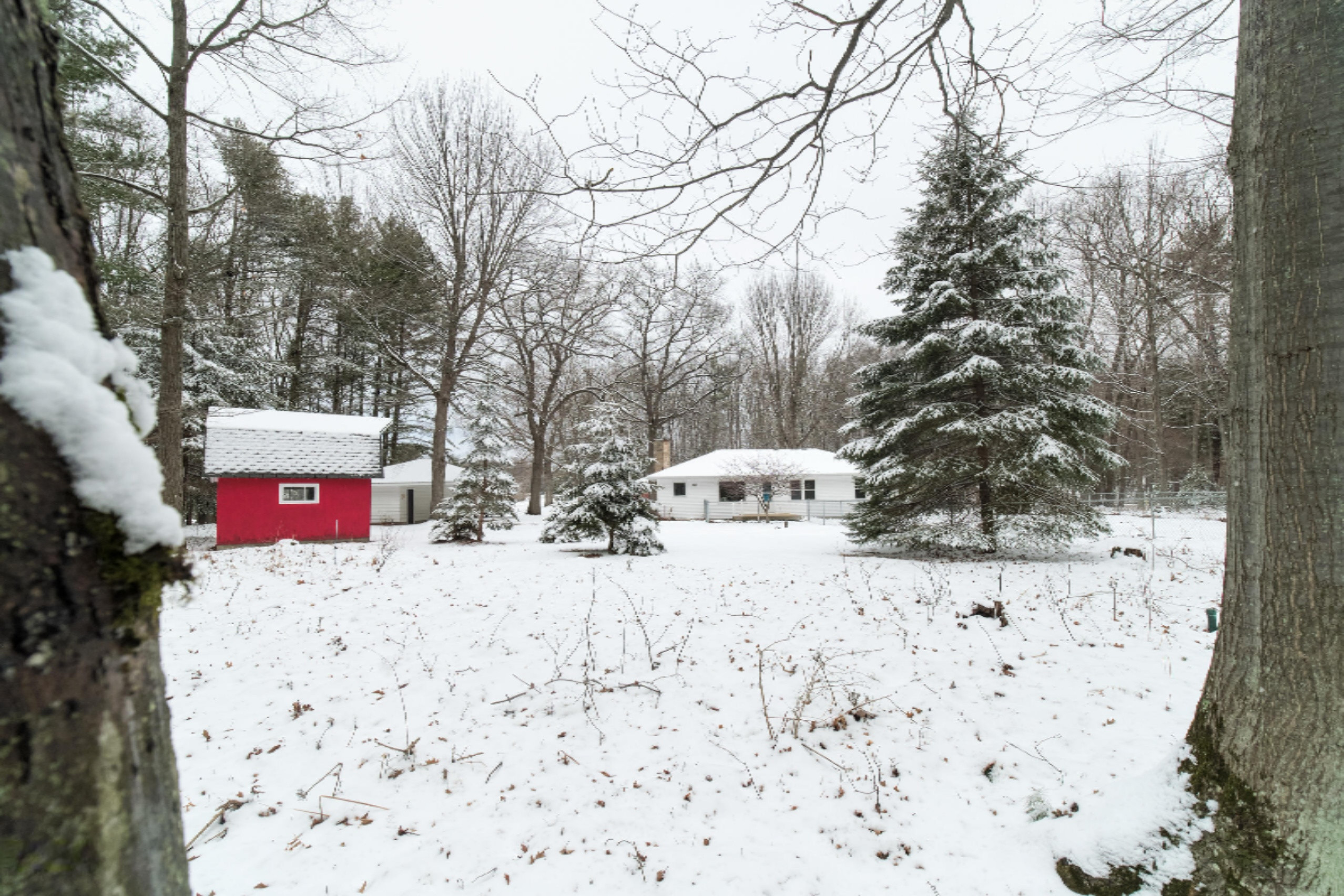 63 East Kott Road Manistee, MI 49660 - Photo 54 of 61 View from Back of Property