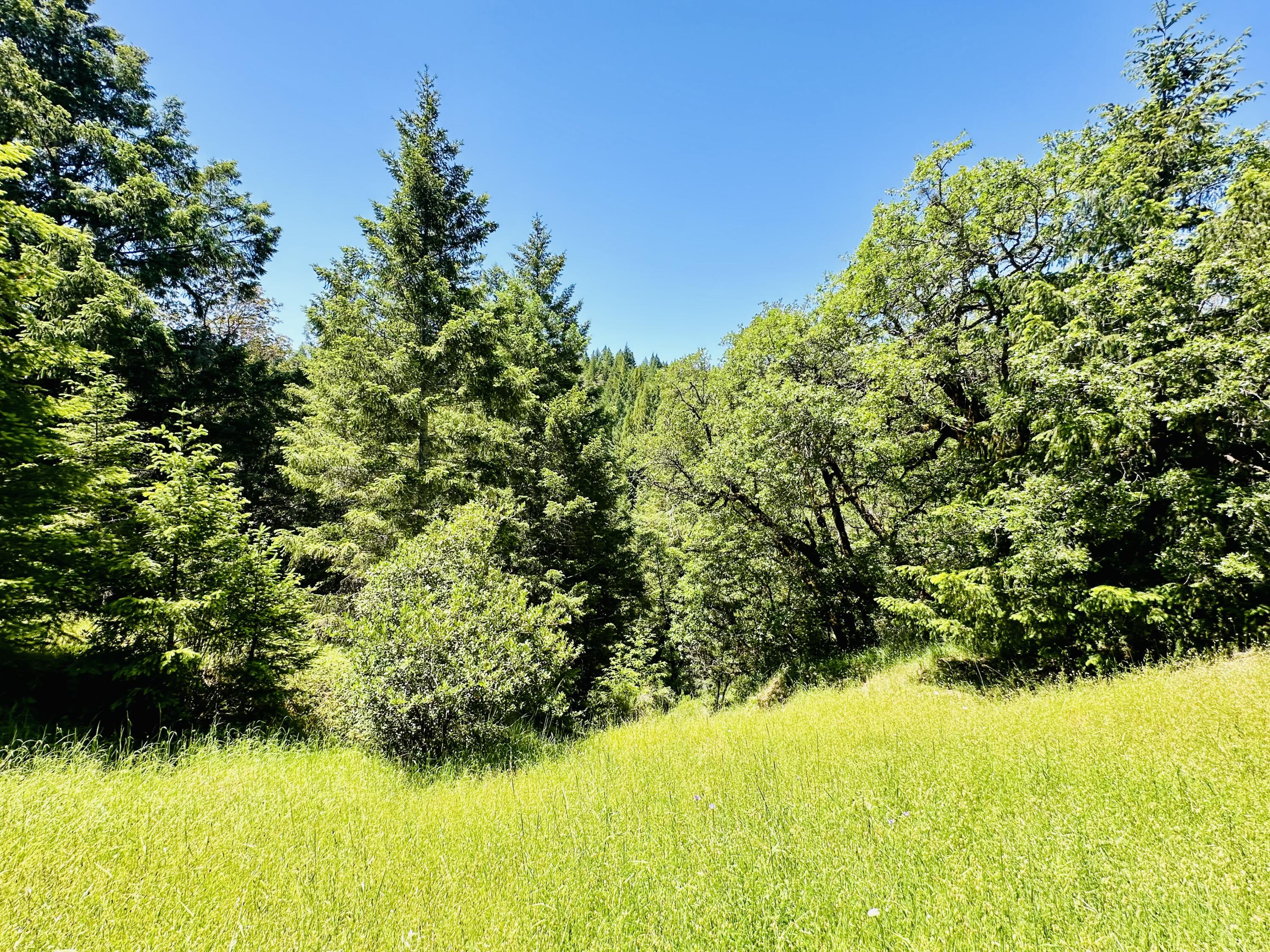 400 Seely Creek Road Redway, CA 95560 - Photo 5 of 73