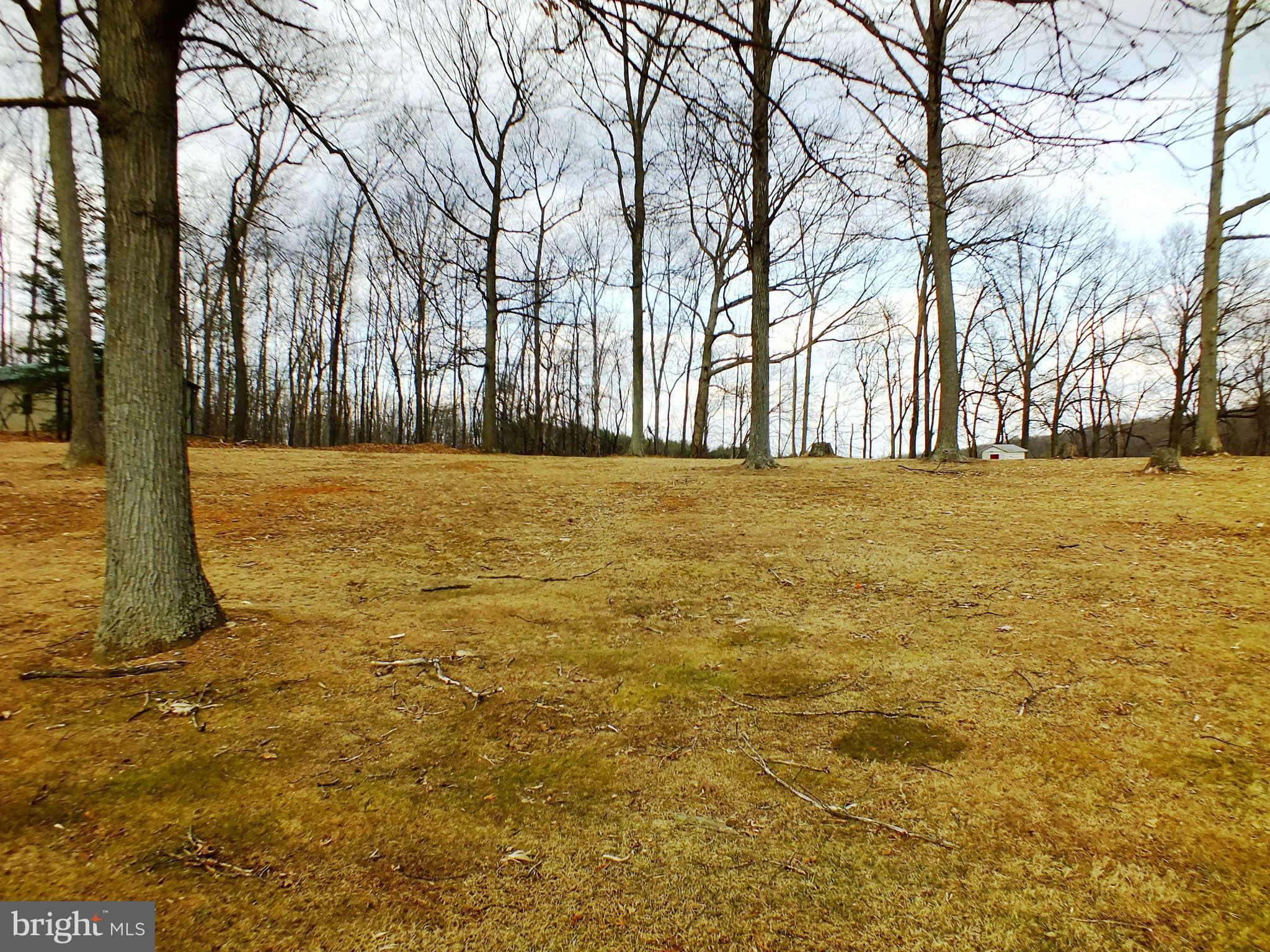 Grove Road Hampstead, MD 21074 - Photo 1 of 1 a view of big yard with trees