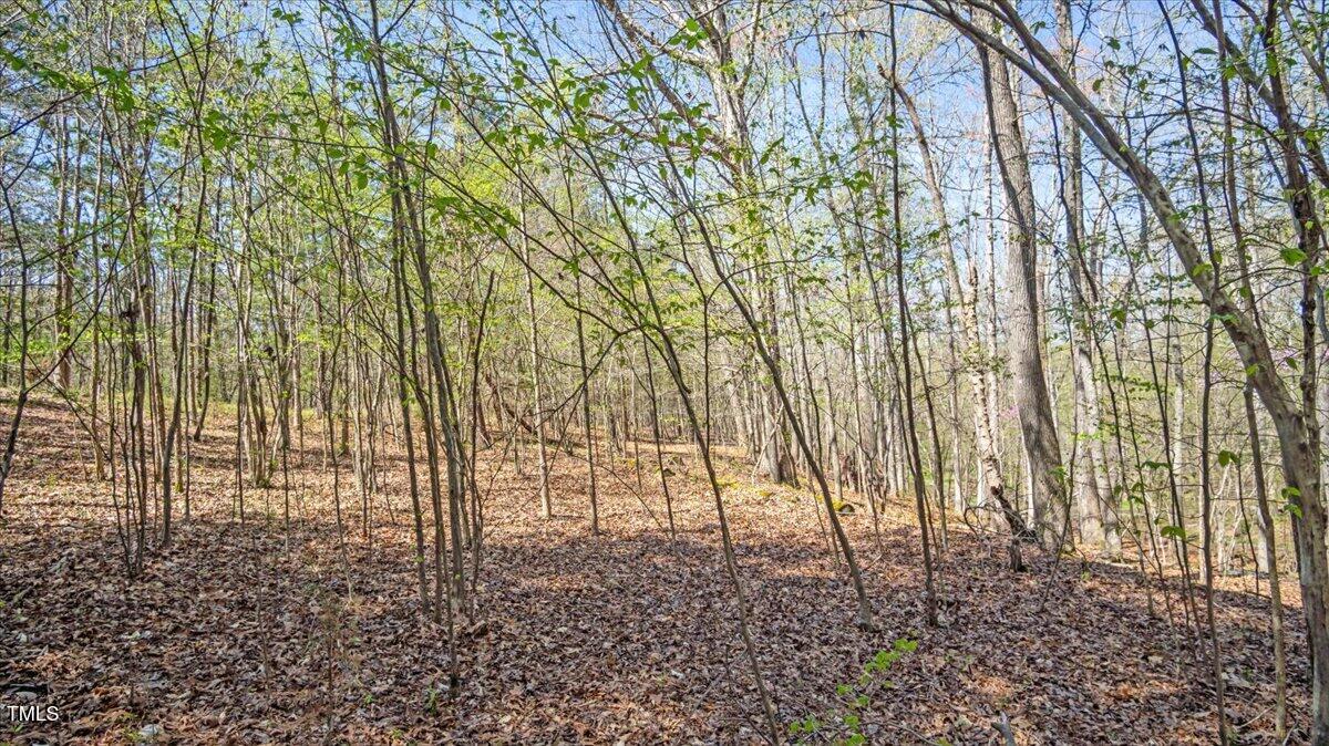 605 Lake Shore Road Semora, NC 27343 - Photo 10 of 11 10-Finished snowhill rd-10