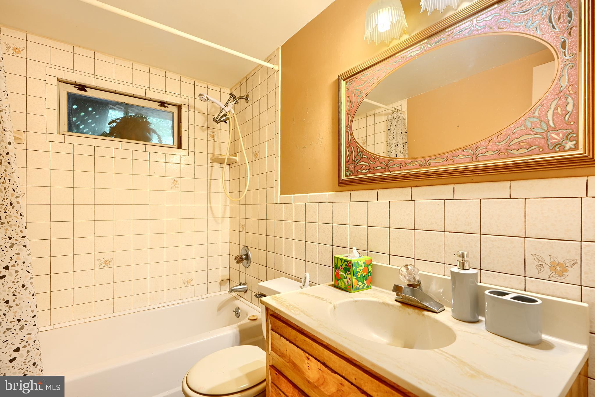 6065 Poplar Road St. Leonard, MD 20685 - Photo 8 of 50 a bathroom with a sink mirror toilet and bathtub