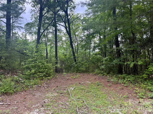 a big yard with lots of green space and deers