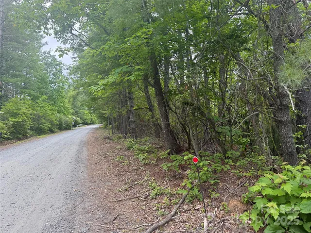 a view of road and trees
