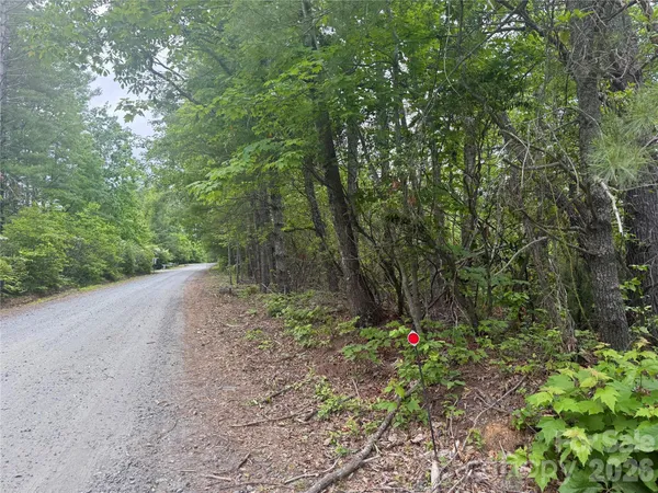 a view of road and trees