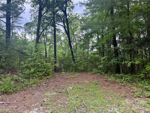 a big yard with lots of green space and deers