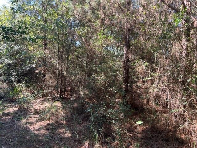 30-ac Union Grove Road Opp, AL 36467 - Photo 24 of 25 Gallery Image 24