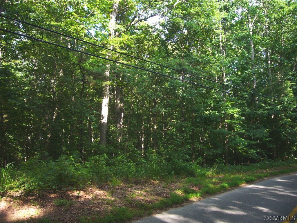 a view of a street with a tree