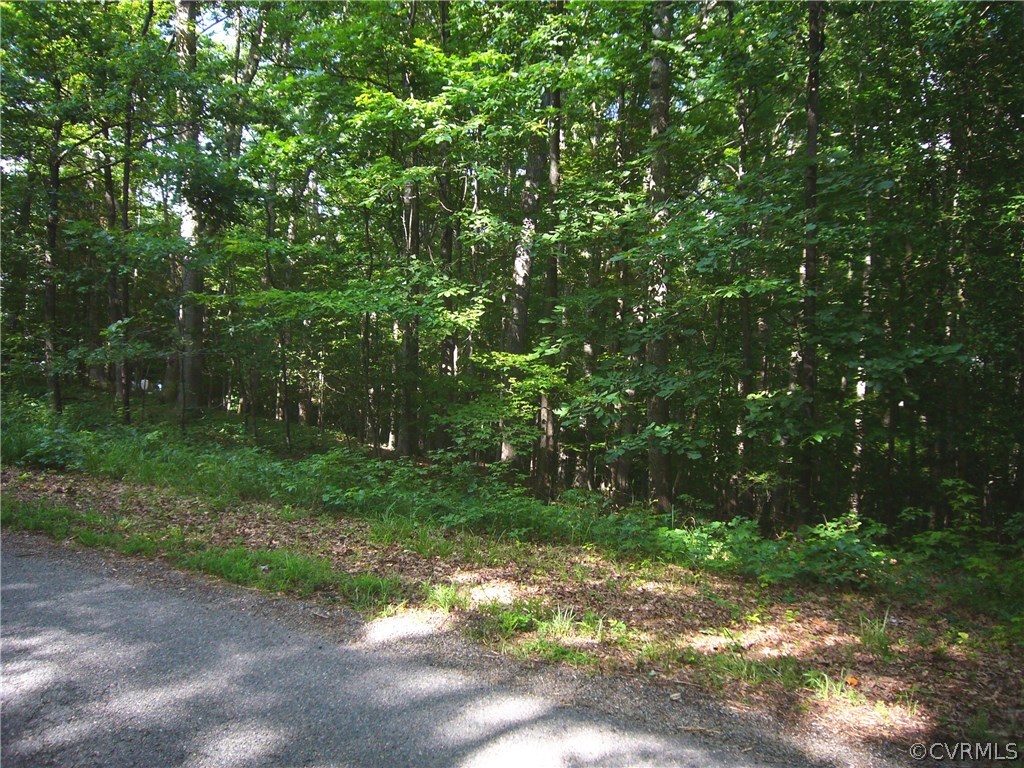 3901 Old Gun Road West Midlothian, VA 23113 - Photo 4 of 16 a backyard of a house with lots of green space