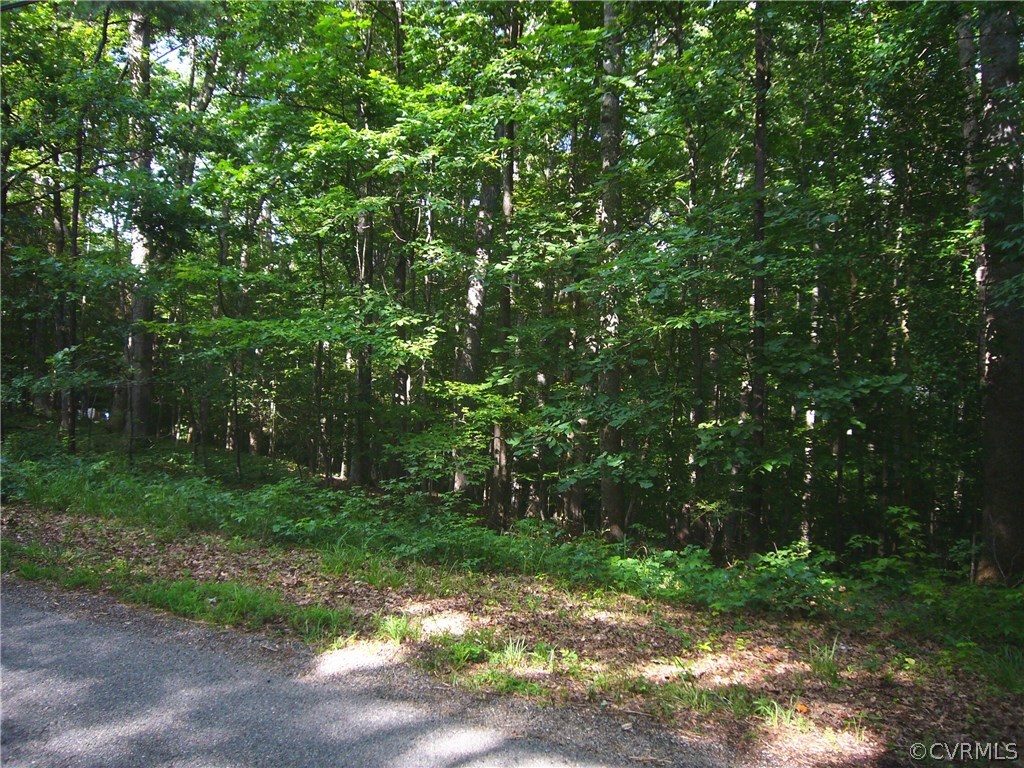 3901 Old Gun Road West Midlothian, VA 23113 - Photo 5 of 16 a view of a yard