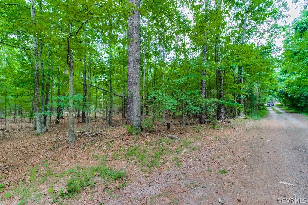 3901 Old Gun Road West Midlothian, VA 23113 - Photo 6 of 16 a view of a forest with trees in the background