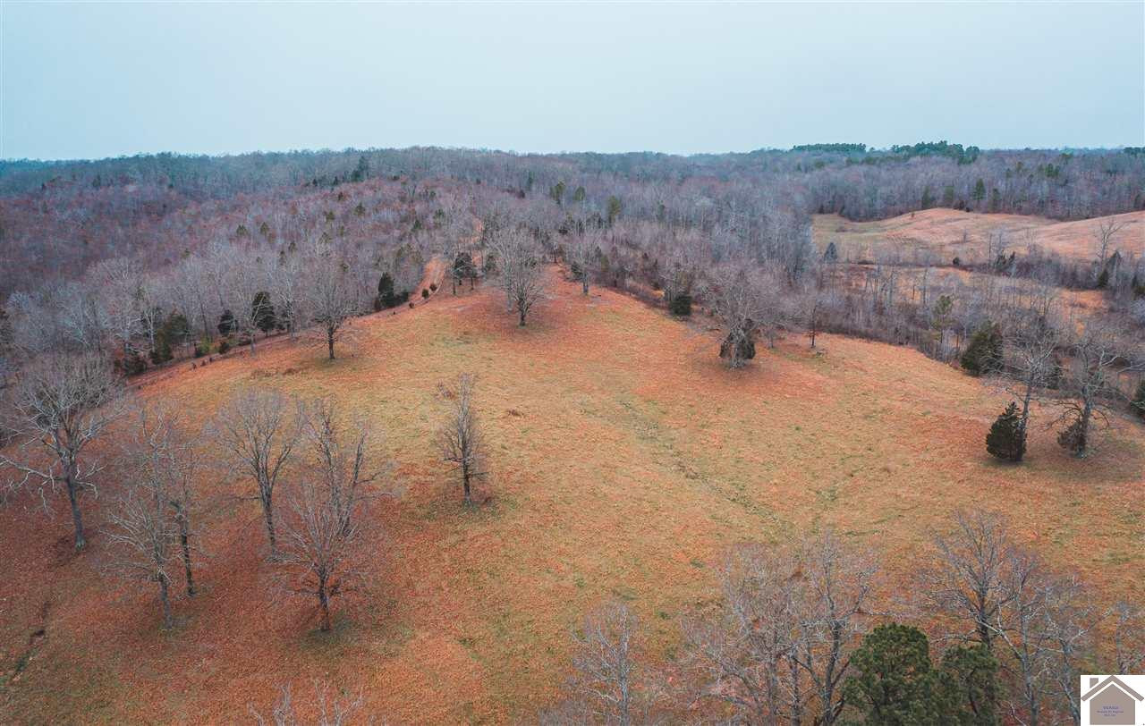 2025 Billy Branch Road New Concord, KY 42076 - Photo 1 of 1 Photo 1