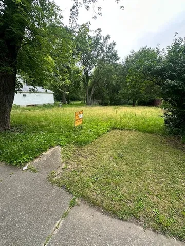 a view of a park with large trees