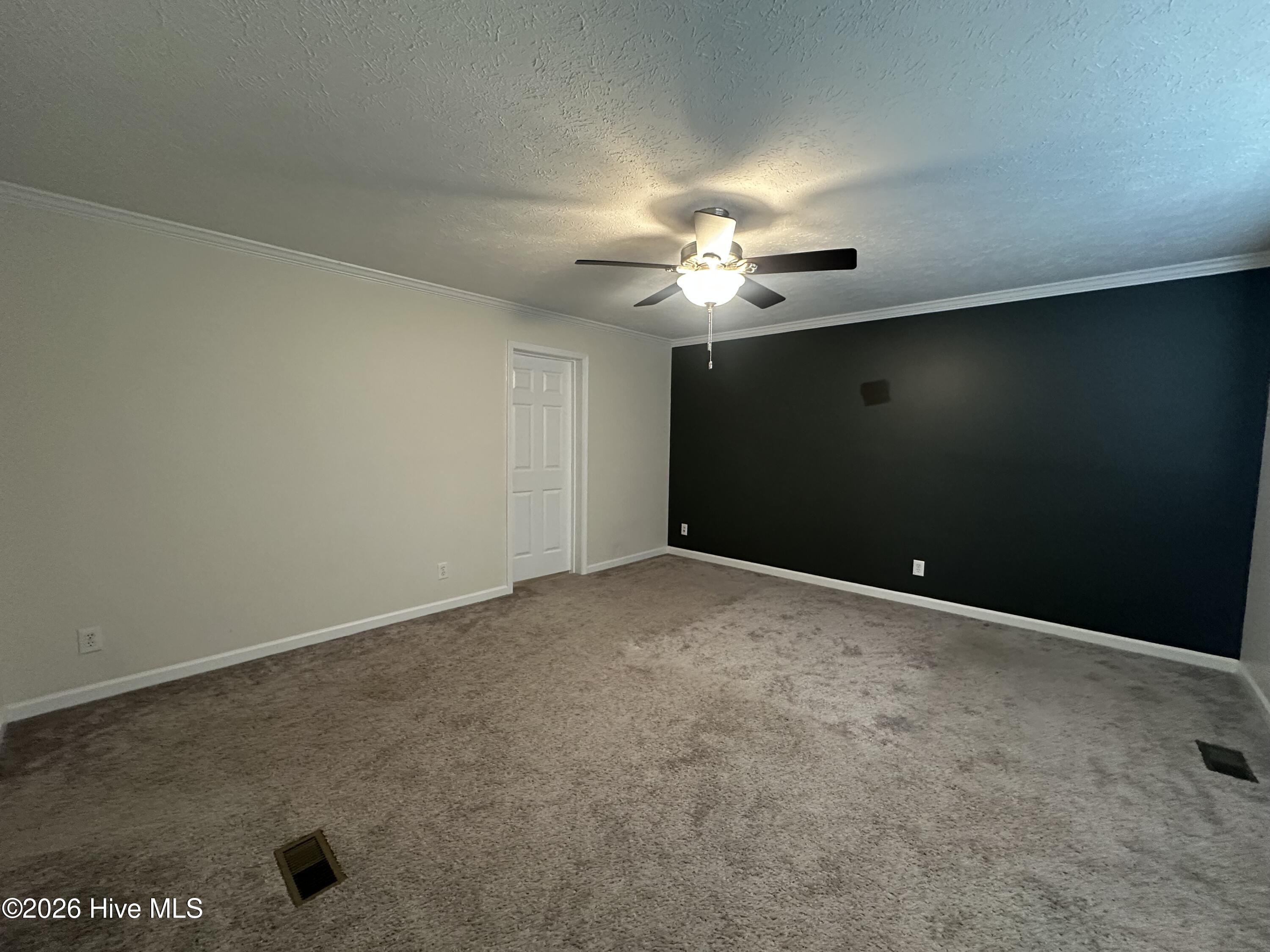 177 Piney Grove Baptist Church Road Swansboro, NC 28584 - Photo 16 of 30 IMG_3883