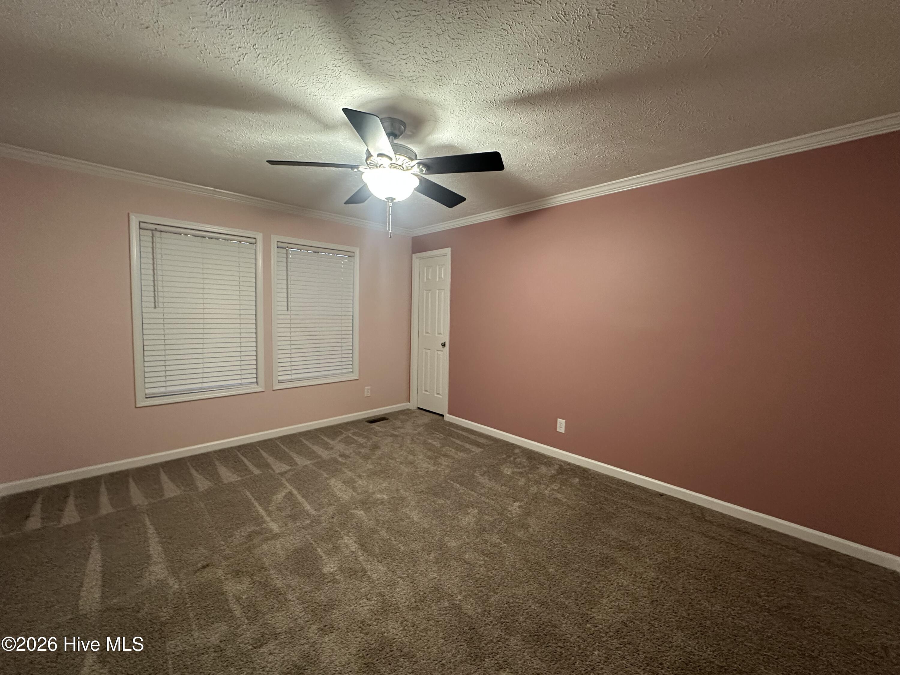 177 Piney Grove Baptist Church Road Swansboro, NC 28584 - Photo 24 of 30 IMG_4447