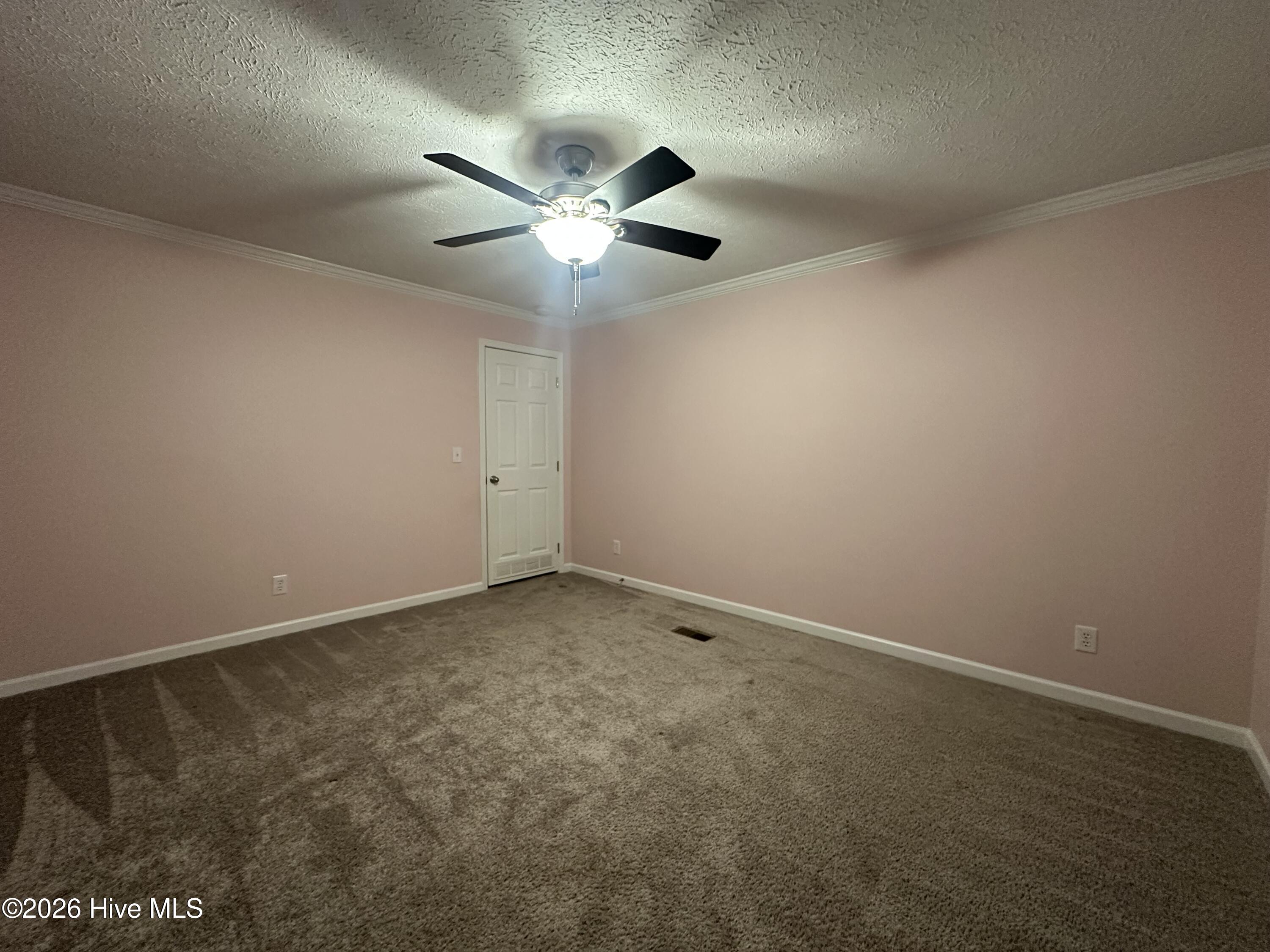 177 Piney Grove Baptist Church Road Swansboro, NC 28584 - Photo 25 of 30 IMG_4448