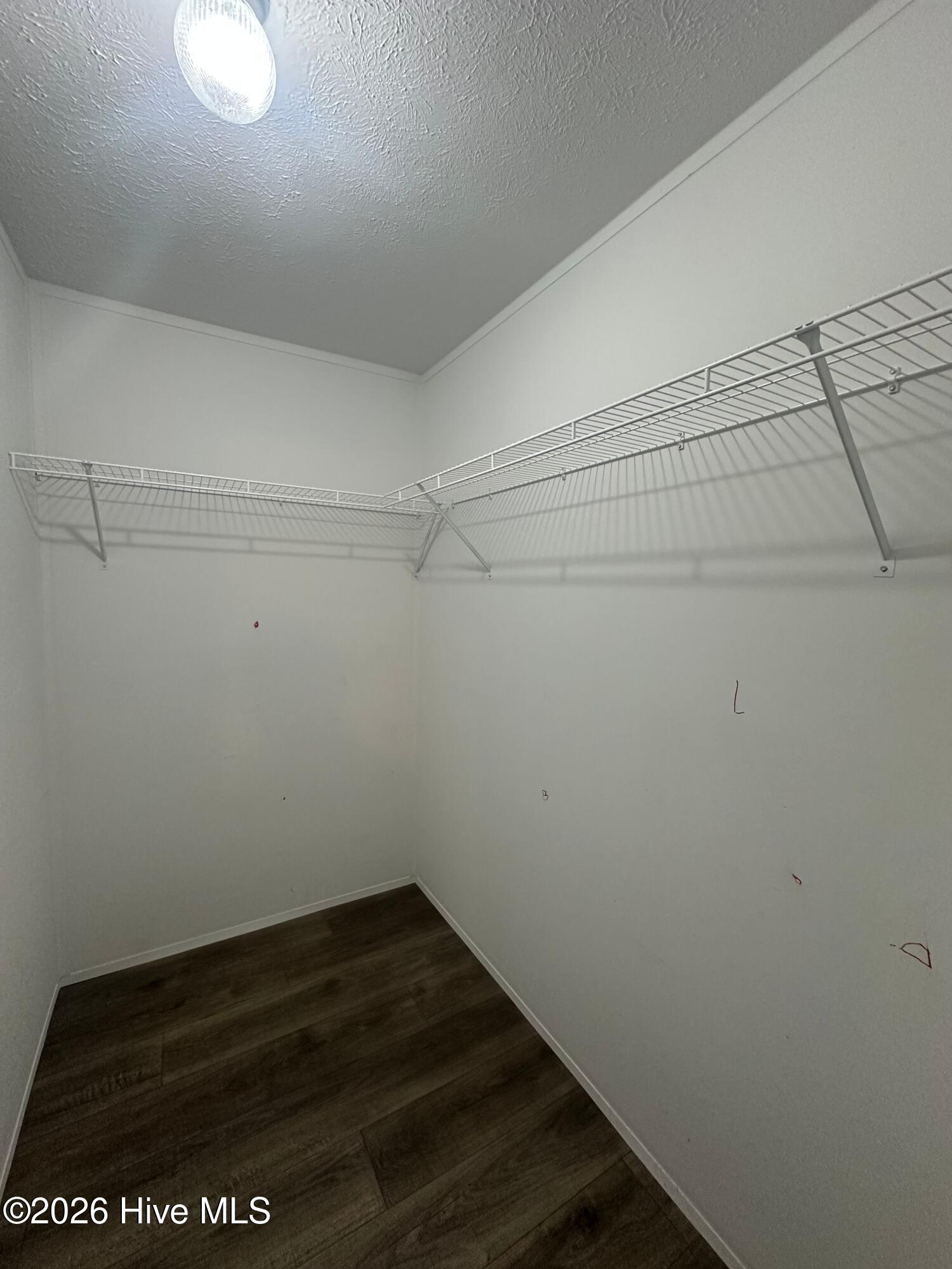 177 Piney Grove Baptist Church Road Swansboro, NC 28584 - Photo 30 of 30 IMG_4452