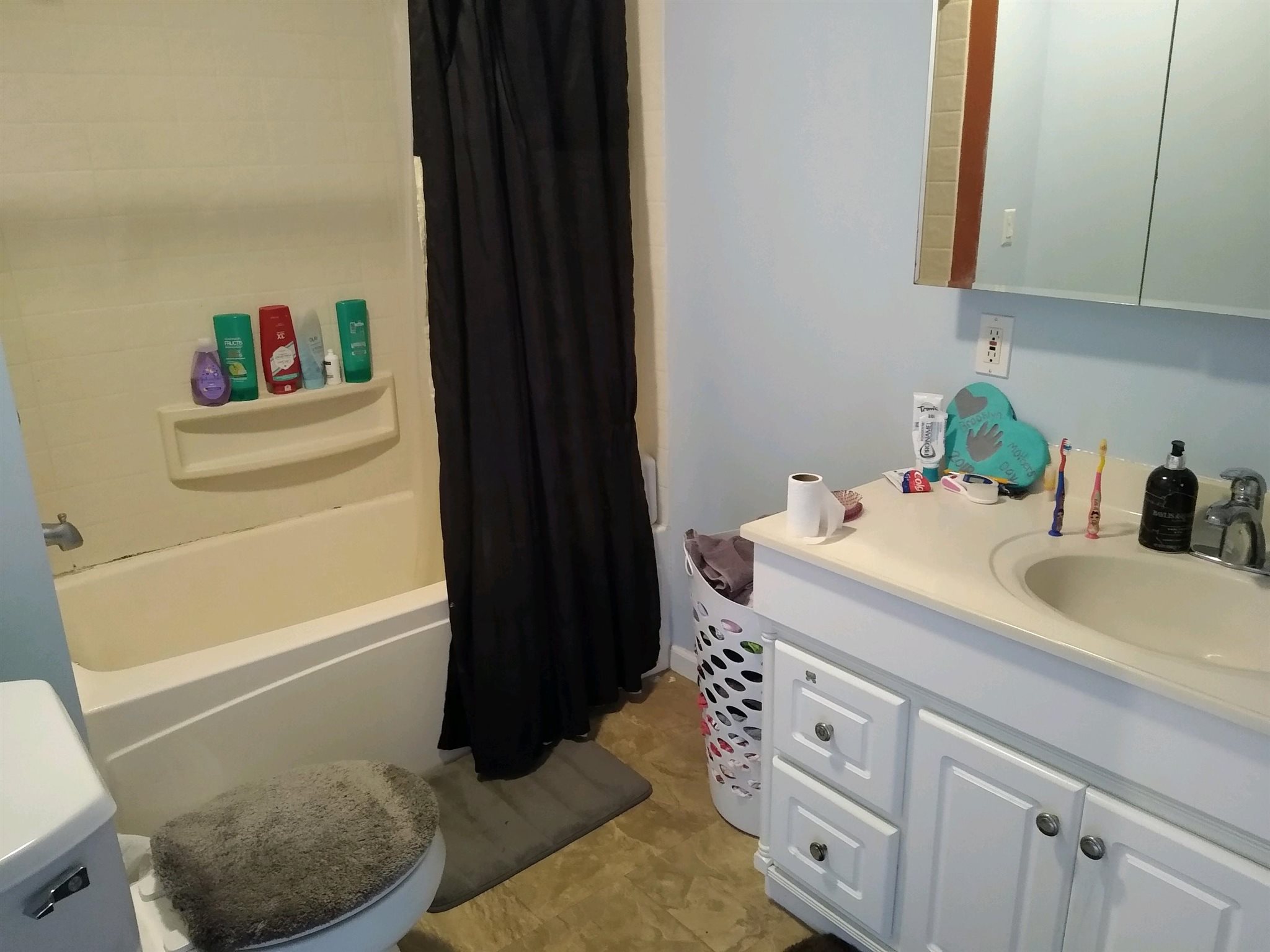 4294 Tick Ridge Road Grand Chain, IL 62941 - Photo 14 of 21