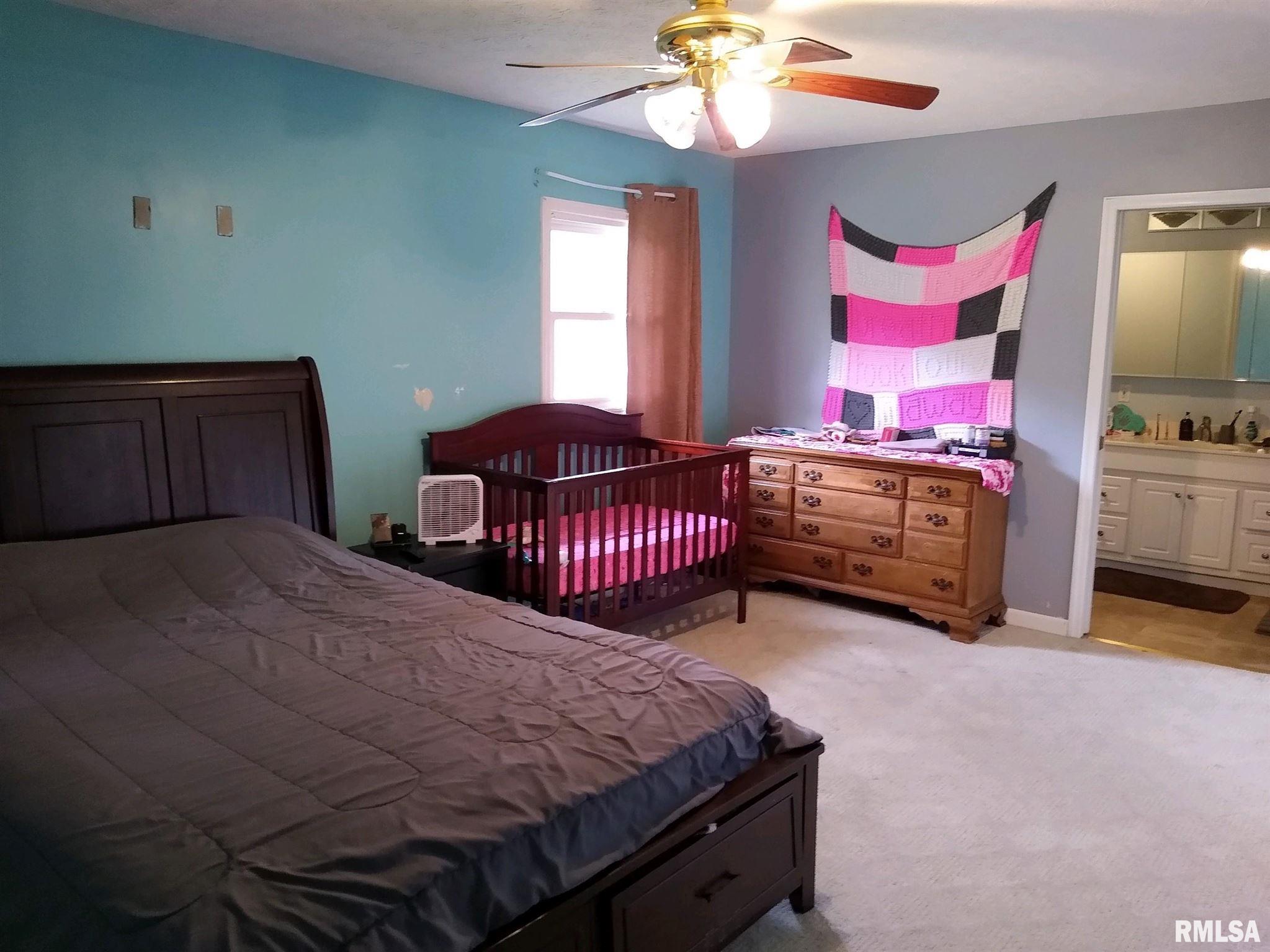 4294 Tick Ridge Road Grand Chain, IL 62941 - Photo 7 of 21