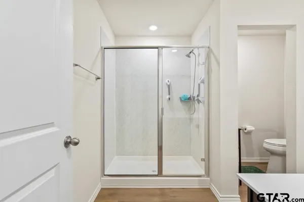 a bathroom with a shower and a toilet
