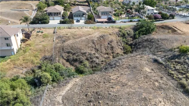 a view of a yard with plants and large trees