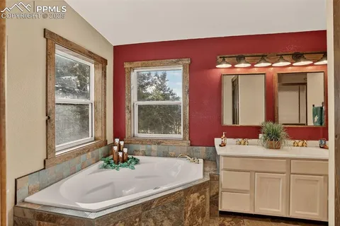a bathroom with a sink a mirror and a potted plant