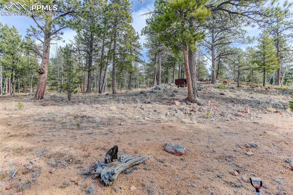 50 Rd P78 Bailey, CO 80421 - Photo 28 of 49 a view of a forest with trees in the background
