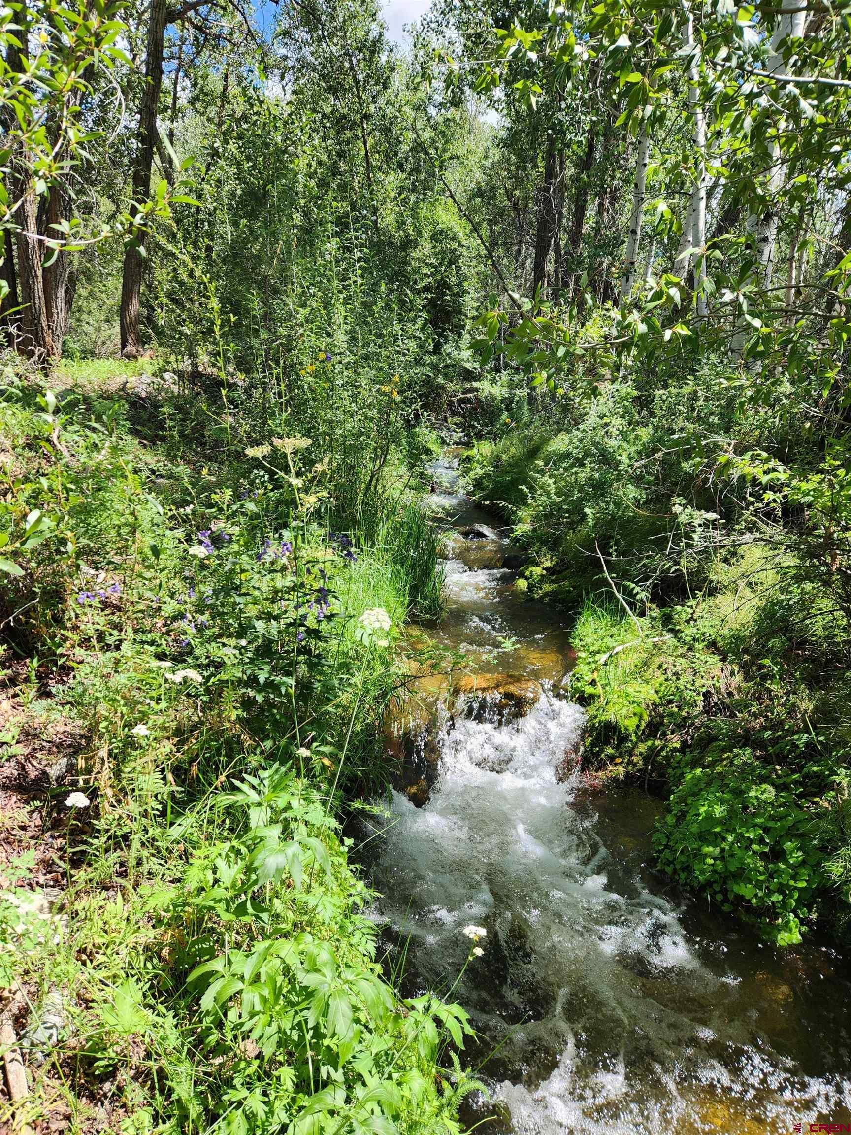 129 Indian Hill Road Mosca, CO 81146 - Photo 21 of 24 This creek runs through the property, There are benches alongside it to sit and relax right in your