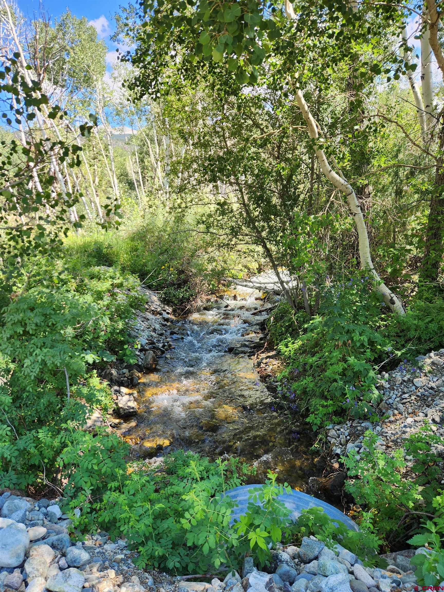 129 Indian Hill Road Mosca, CO 81146 - Photo 22 of 24 This creek runs through the property, There are benches alongside it to sit and relax right in your