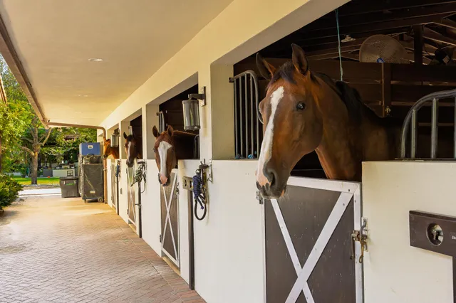 a front view of a house with parking space