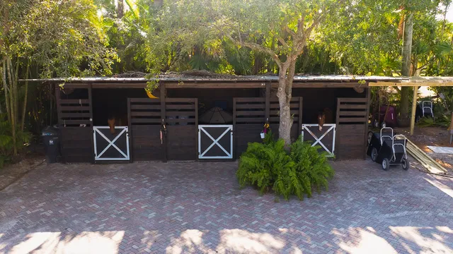 a view of a lake with couches