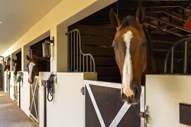 a swimming pool with barbeque oven outdoor seating and yard