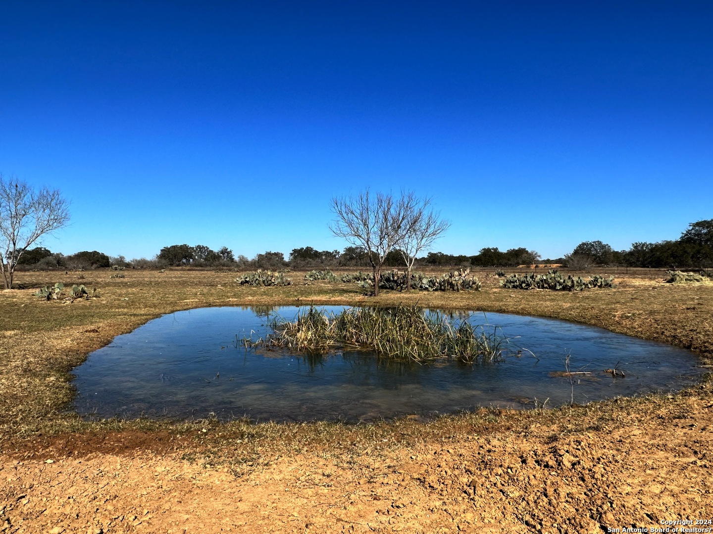 2103 Cr 7711 Devine Tx