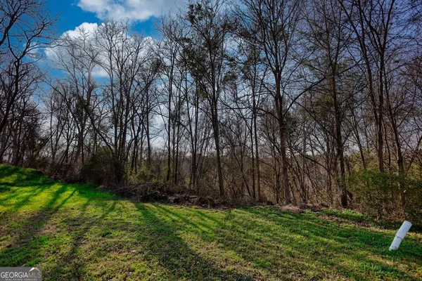 a view of backyard with green space