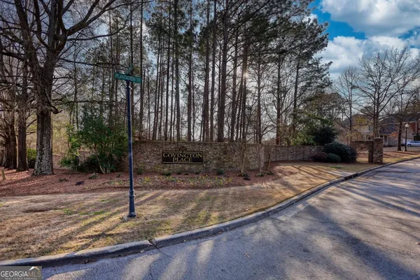 a street view with large trees