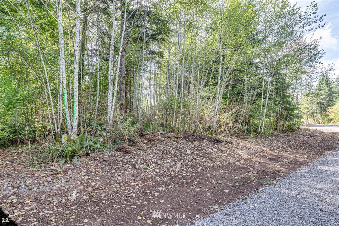 99922 Thomas Street Forks, WA 98331 - Photo 3 of 4 Gallery Image 3