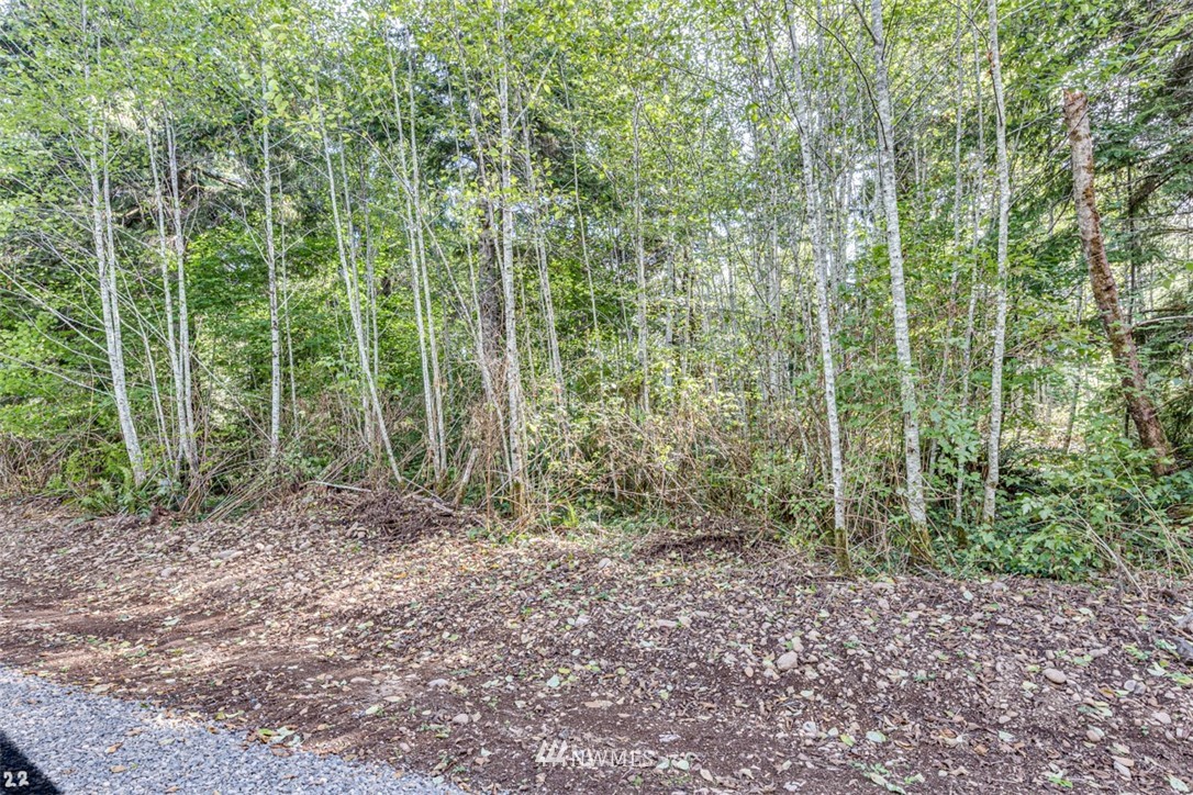 99922 Thomas Street Forks, WA 98331 - Photo 4 of 4 Gallery Image 4