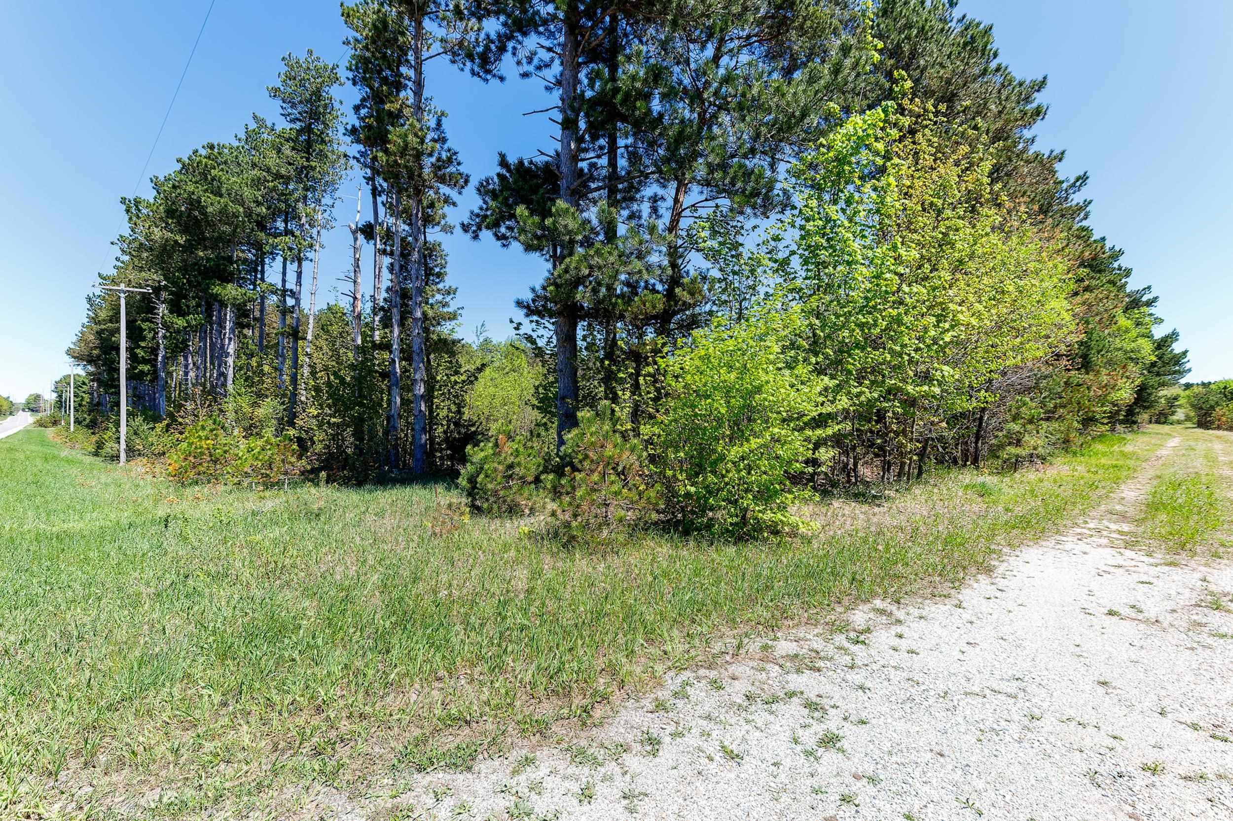 3219 Nugent Road Frankfort, MI 49635 - Photo 5 of 15