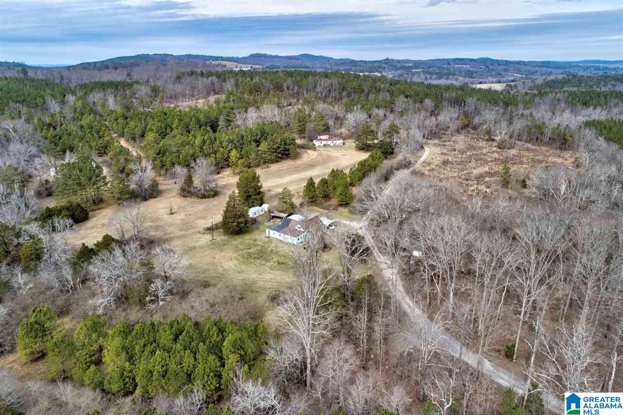 620 Chief Albert Road Blountsville, AL 35031 - Photo 9 of 15