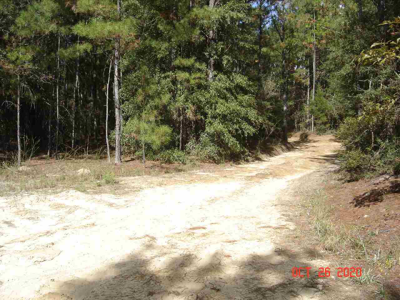 48-acres Or - Brooklyn Road Andalusia, AL 36421 - Photo 2 of 8 Gallery Image 2
