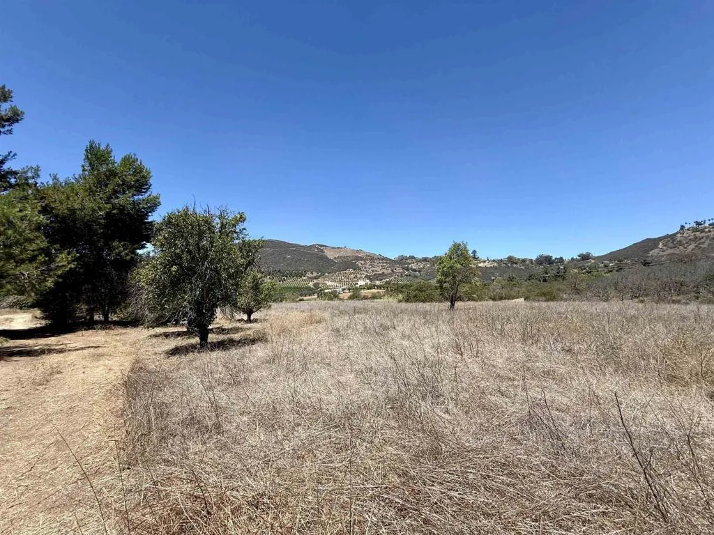 9927 Modrigan Fallbrook, CA 92028 - Photo 25 of 38