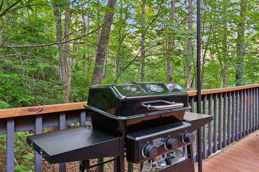 889 Granny Branch Drive Blue Ridge, GA 30513 - Photo 8 of 63 Gallery Image 8