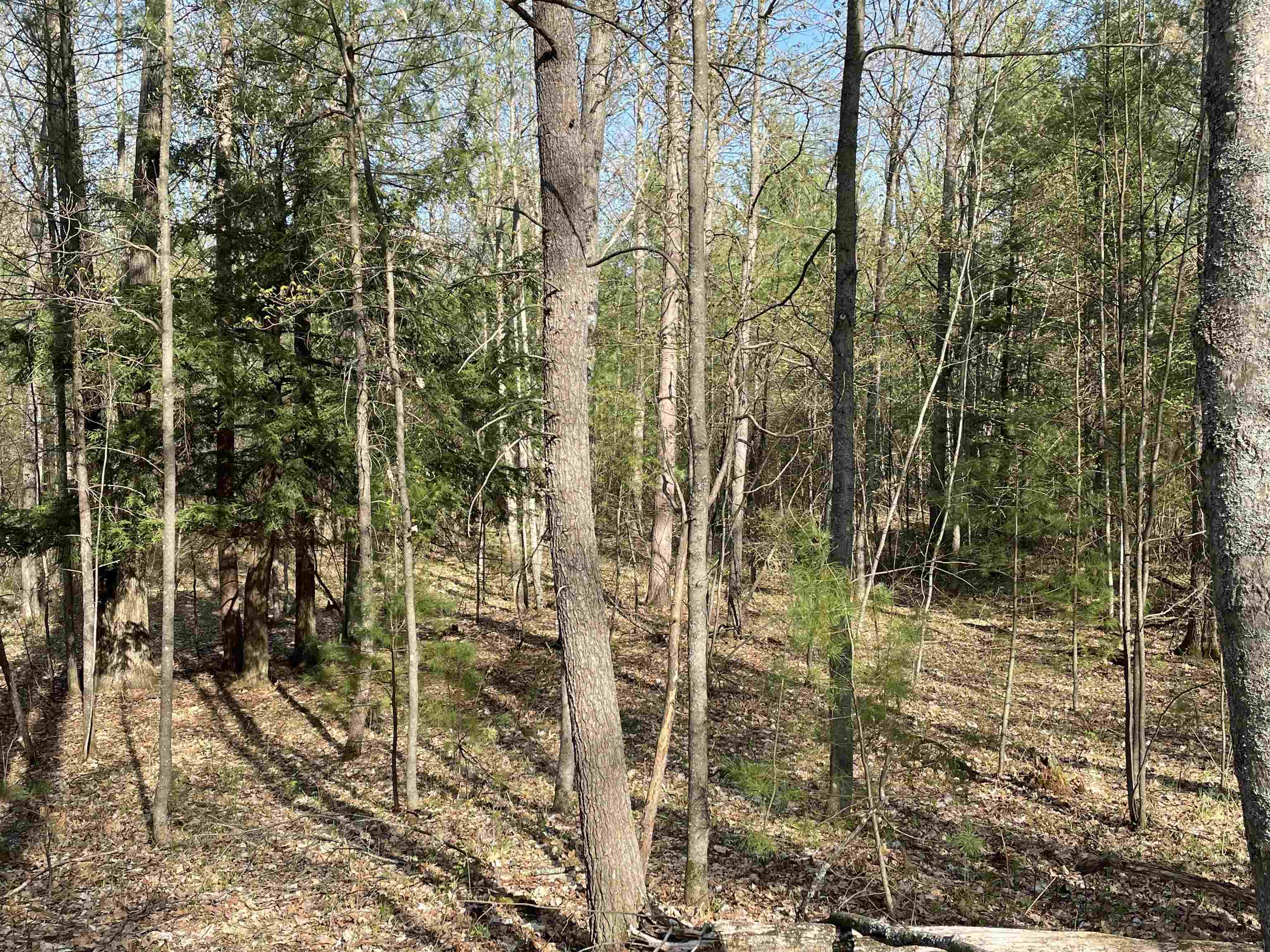 2433 Park Road Mio, MI 48647 - Photo 16 of 44 1899777-15.JPG
