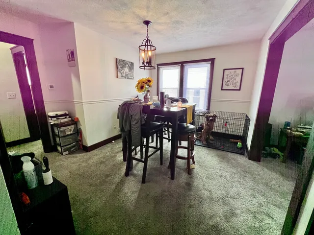 a view of a livingroom with furniture window and wooden floor