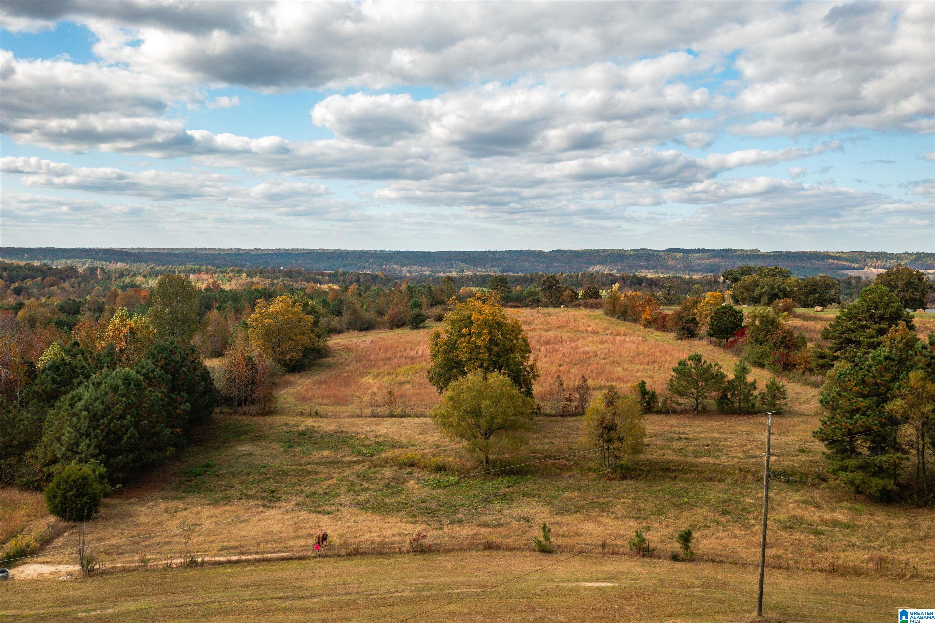 0 Mountain View Church Road, Unit 1 Altoona, AL 35952 - Photo 34 of 36