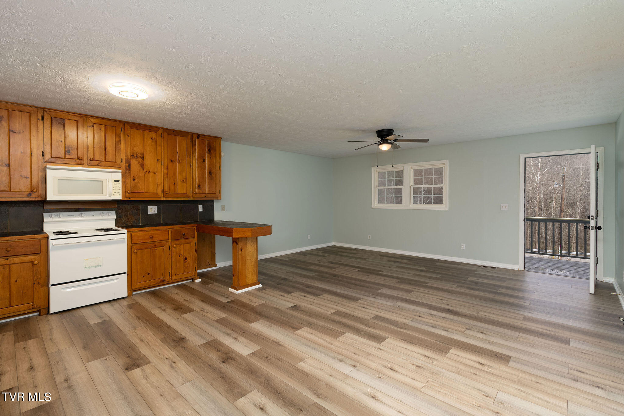 6672 Roan Creek Road Butler, TN 37640 - Photo 158 of 163 DSC01094-Edit