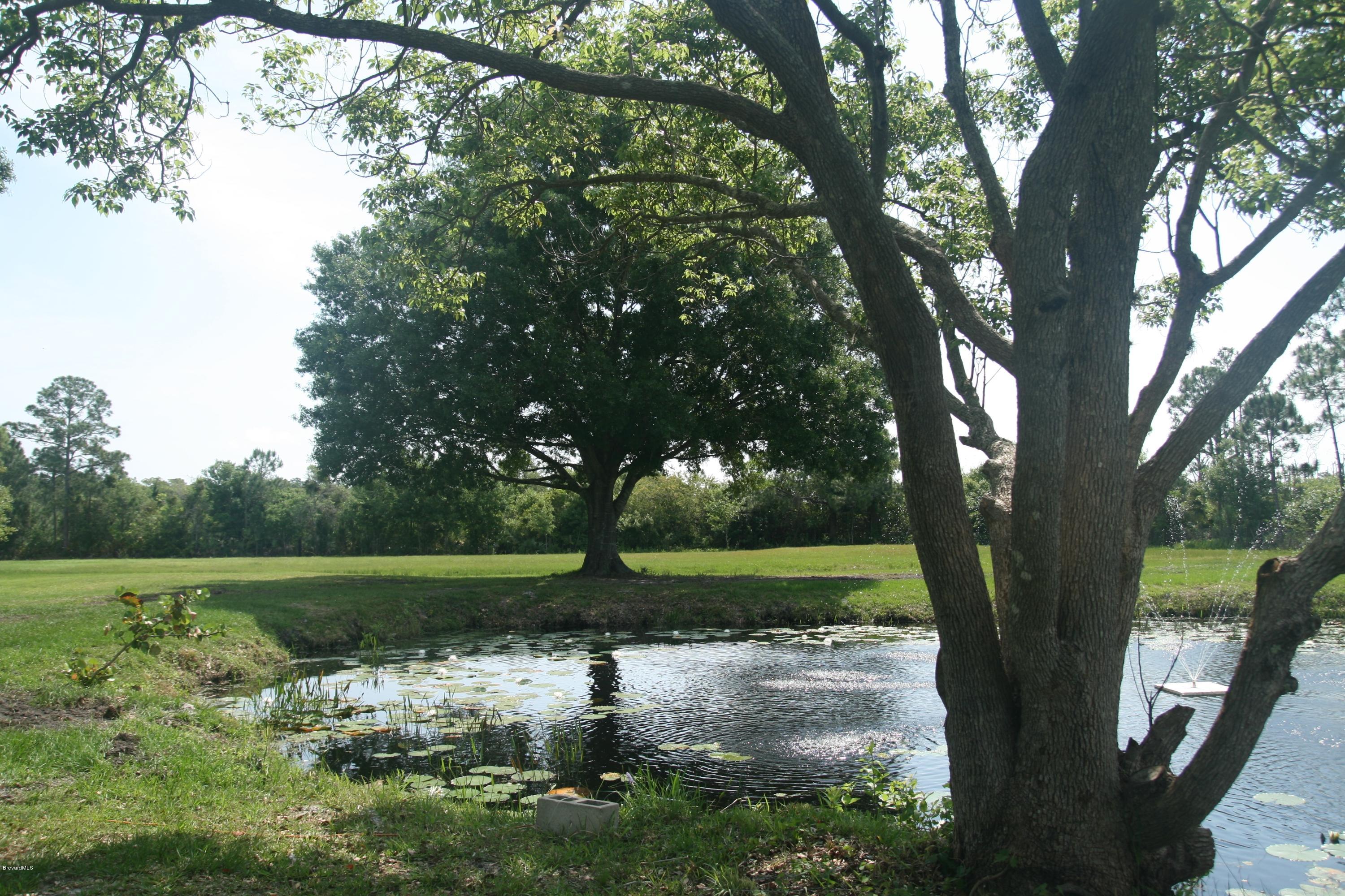 4303 Rayburn Road Cocoa, FL 32926 - Photo 23 of 26 Shade trees