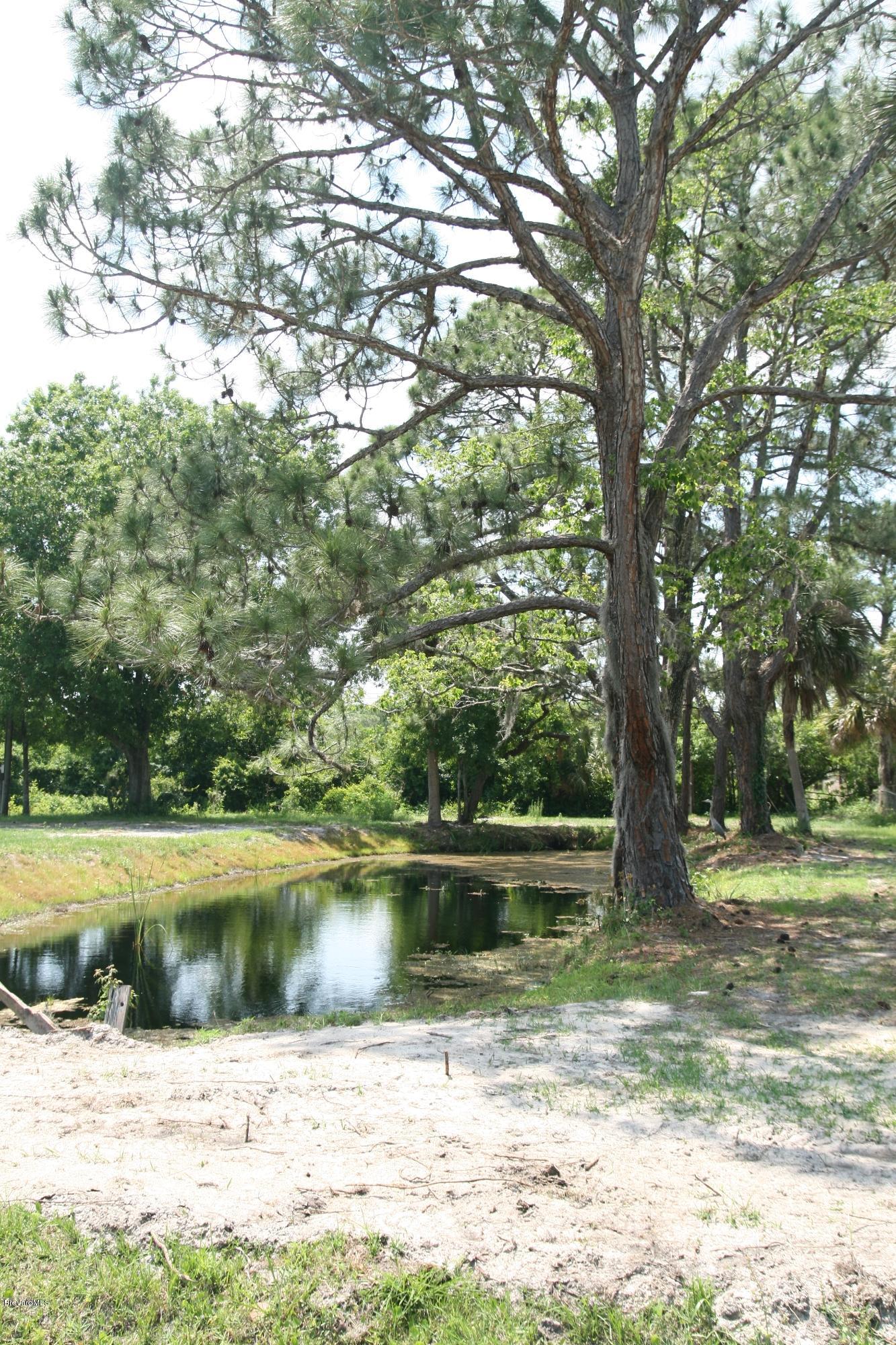 4303 Rayburn Road Cocoa, FL 32926 - Photo 26 of 26 Pond in front