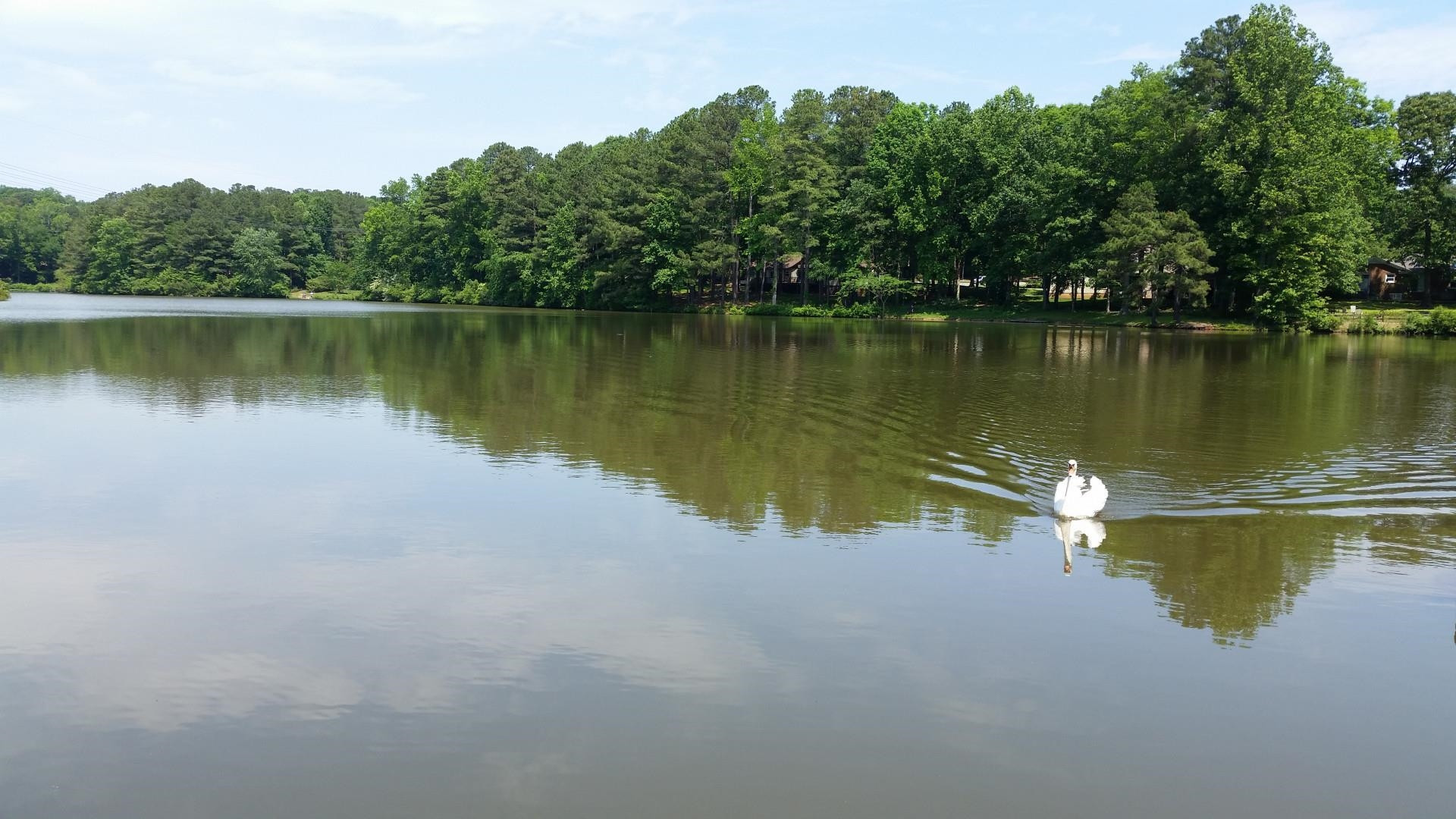 8633 Valley Brook Drive Raleigh, NC 27613 - Photo 30 of 30 Photo 30