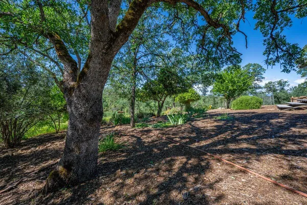 $365,000 | 19425 Bonanza King Drive, Cottonwood, CA 96022