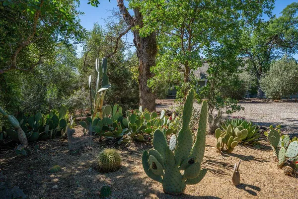 $365,000 | 19425 Bonanza King Drive, Cottonwood, CA 96022